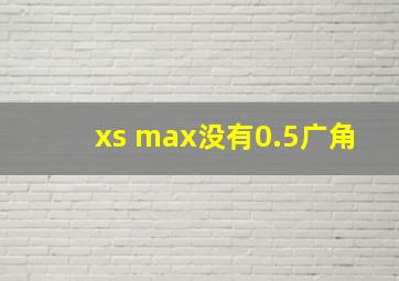 xs max没有0.5广角